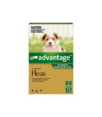 Parti Vert pour Petit Chien