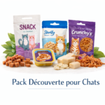 Chats en meute