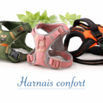Harnais Confort